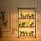 4-Tier Indoor Greenhouse Plant Shelf with 180W Full Spectrum LED Lights and Timer Function